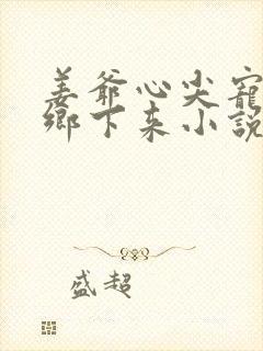 姜爷心尖宠她从乡下来小说完整版本