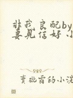 非我良配by吾妻见信好 小说免费阅读