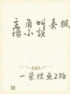 主角叫秦枫的官场小说