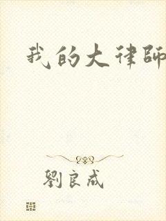 我的大律师小说