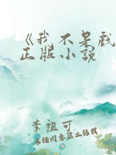 《我不是戏神》正版小说