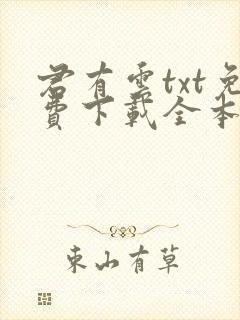 君有云txt免费下载全本