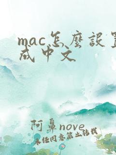 mac怎么设置成中文