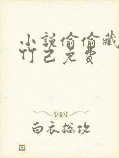 小说偷偷藏不住竹己免费