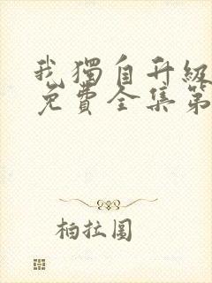 我独自升级动漫免费全集第二季