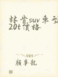 林肯suv车型20t价格