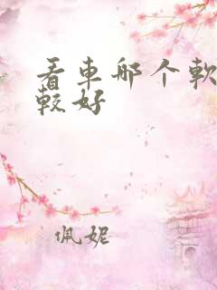 看车哪个软件比较好