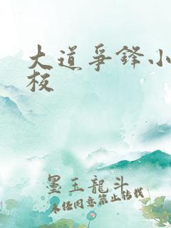 大道争锋小说精校