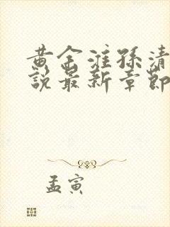 黄余淮孙清语小说最新章节更新内容
