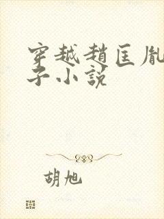 穿越赵匡胤的儿子小说