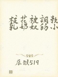 校花被调教成大乳奶奴的小说