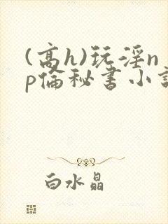 (高h)玩淫np伦秘书小说