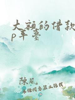 大额的借款app平台