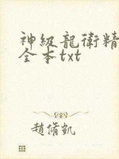 神级龙卫精校版全本txt