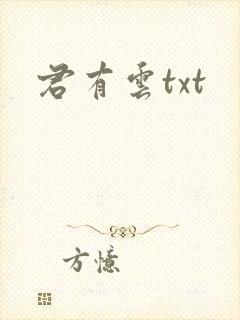 君有云txt