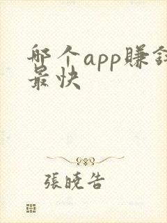 哪个app赚钱最快