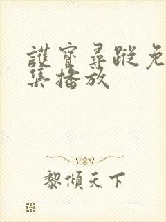 护宝寻踪免费全集播放