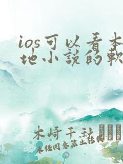 ios可以看本地小说的软件