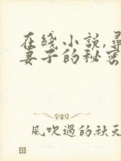 在线小说,寻找妻子的秘密