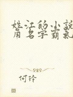 姓江的小说男主角名字霸气