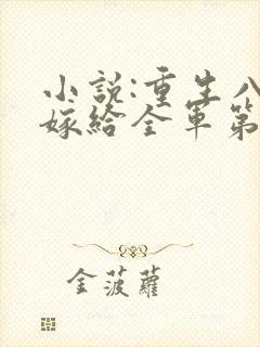 小说:重生八零嫁给全军第一硬汉