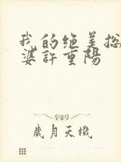 我的绝美总裁老婆许重阳