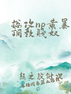 总攻np黄暴贱调教贱奴