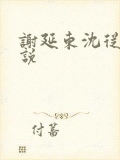 谢延东沈从妩小说