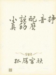 小说配音挣钱是真的么