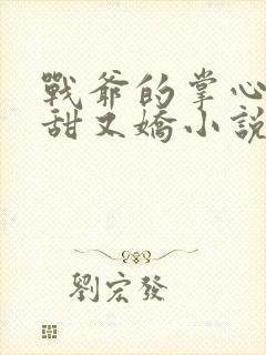 战爷的掌心宠又甜又娇小说全文免费阅读