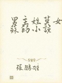 男主姓莫女主姓苏的小说