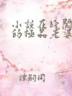 小说在线阅读我的极品老婆
