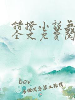 错撩小说无删减全文免费阅读