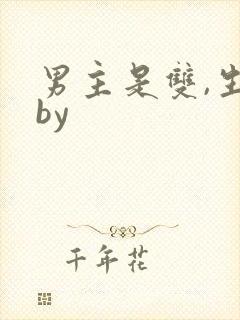 男主是双,生子by