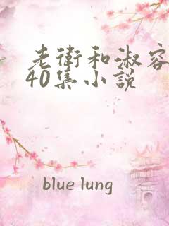 老卫和淑容1-40集小说