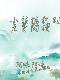 小说总裁别太坏免费阅读