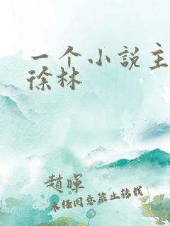 一个小说主角叫徐林