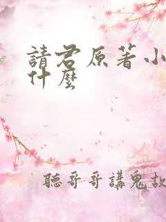 请君原著小说叫什么