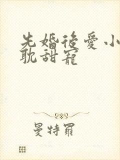 先婚后爱小说原耽甜宠