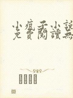 小疯子小说全文免费阅读无弹窗