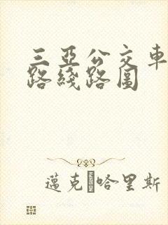 三亚公交车17路线路图