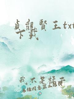 贞观贤王txt 下载