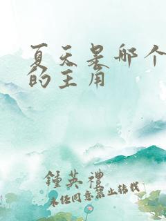夏天是哪个小说的主角