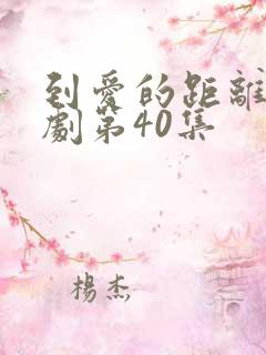 到爱的距离电视剧第40集