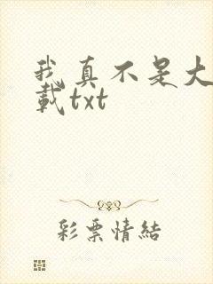 我真不是大佬下载txt