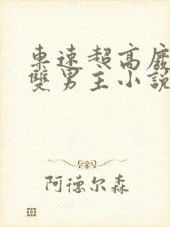 车速超高废文的双男主小说推荐免费