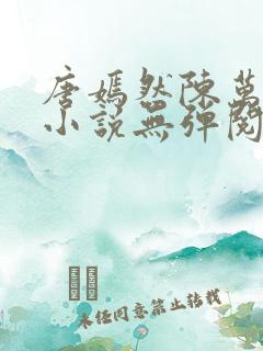 唐嫣然陈万里的小说无弹阅读