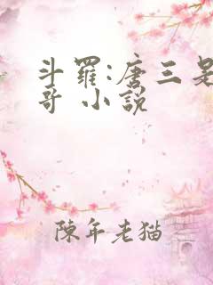 斗罗:唐三是我哥 小说