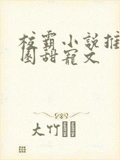 校霸小说推荐校园甜宠文