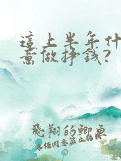 这上半年什么生意做挣钱?